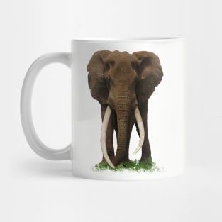 Elephant with big tusk in Africa Mug